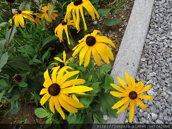 DSC02897.JPG DSC02897.JPG