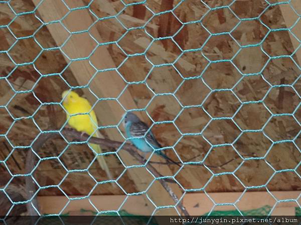 DSC02902.JPG DSC02902.JPG