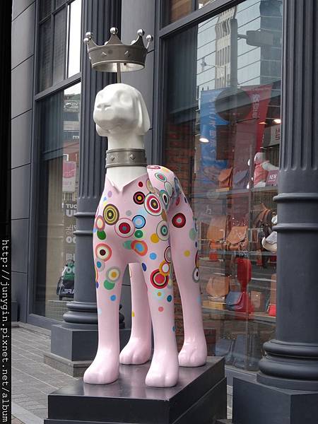 DSC03551.JPG DSC03551.JPG