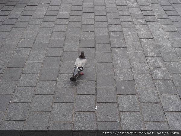 DSC03557.JPG DSC03557.JPG