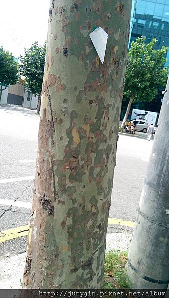 IMAG2266.jpg IMAG2266.jpg