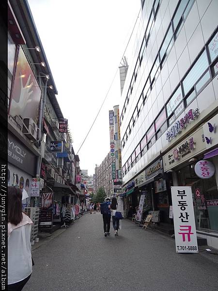 DSC03537.JPG DSC03537.JPG