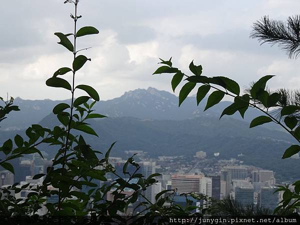 DSC03368.JPG DSC03368.JPG