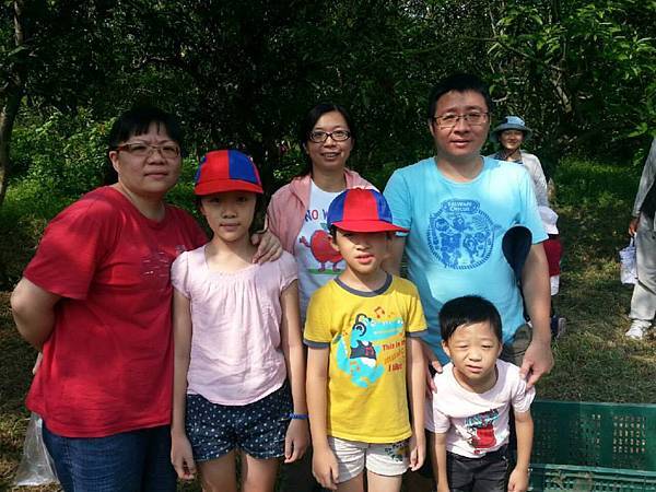 奇美農場採芒果