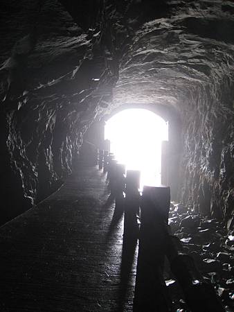 IMG_1359.JPG IMG_1359.JPG