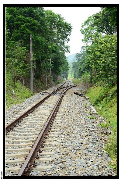 nEO_IMG_SJY_2875.jpg nEO_IMG_SJY_2875.jpg