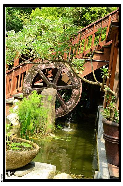 nEO_IMG_SJY_2860.jpg nEO_IMG_SJY_2860.jpg