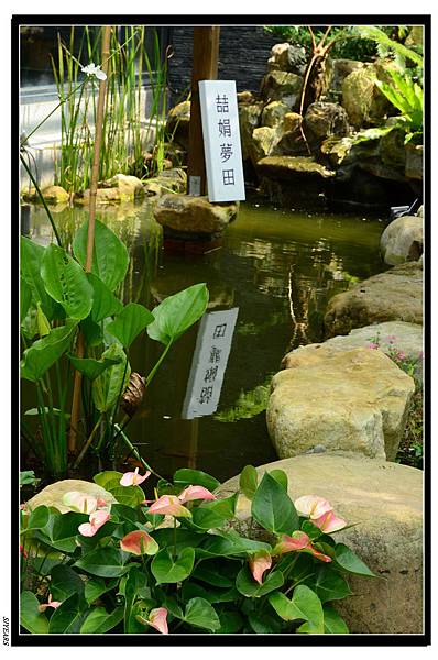 nEO_IMG_SJY_2862.jpg nEO_IMG_SJY_2862.jpg