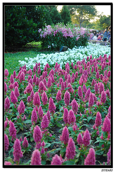 nEO_IMG_DSC_0153.jpg nEO_IMG_DSC_0153.jpg