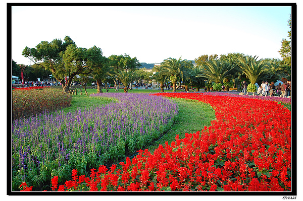 nEO_IMG_DSC_0169.jpg nEO_IMG_DSC_0169.jpg