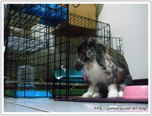 DSC09168.JPG DSC09168.JPG