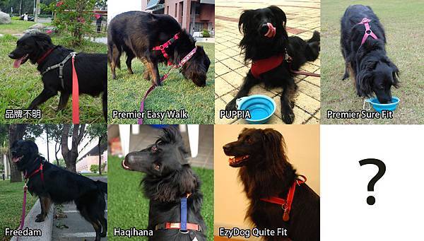 未命名-1 未命名-1