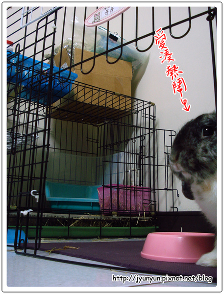 DSC09170.JPG DSC09170.JPG