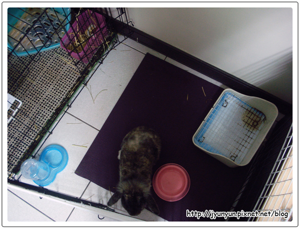 DSC09161.JPG DSC09161.JPG