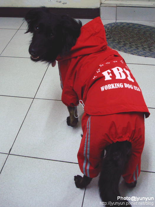 DSC00576.JPG DSC00576.JPG