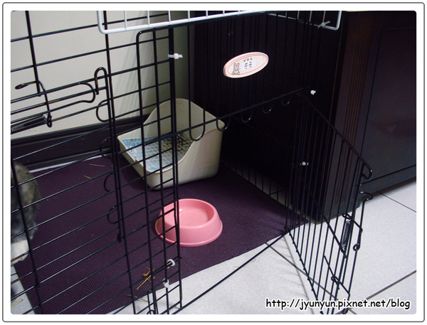 DSC09163.JPG DSC09163.JPG