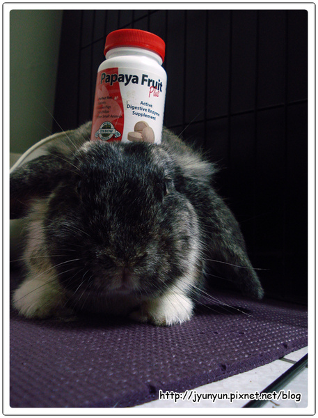 DSC09187.JPG DSC09187.JPG