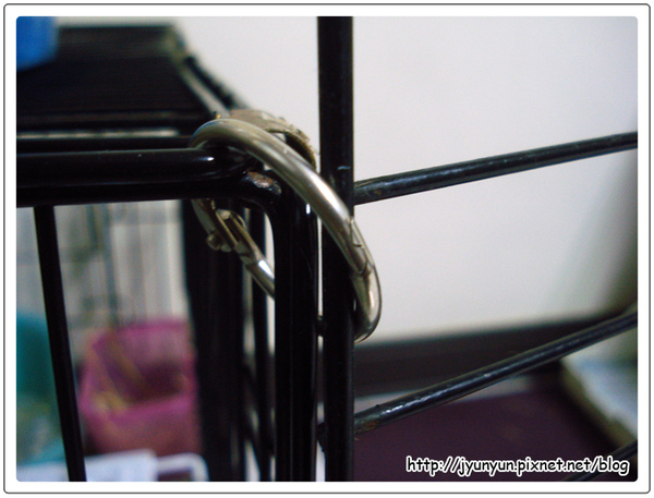 DSC09173.JPG DSC09173.JPG