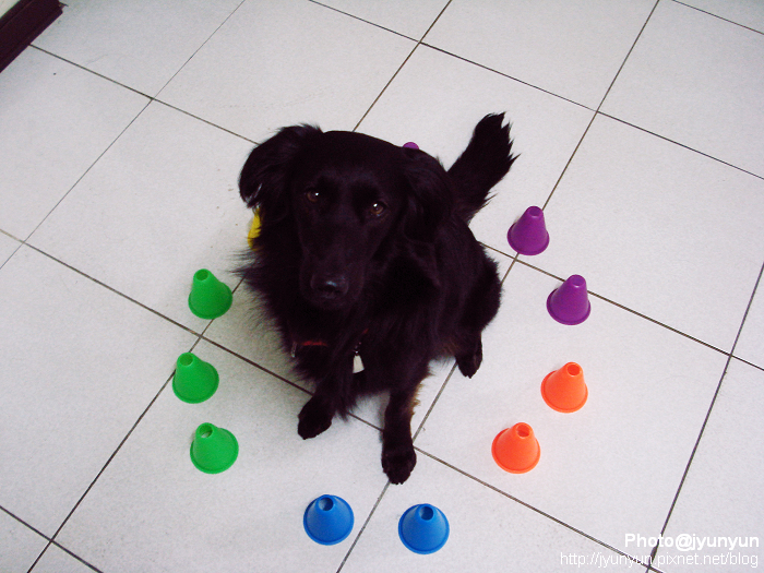 DSC00563.JPG DSC00563.JPG