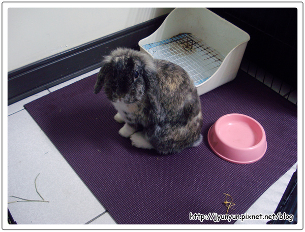 DSC09162.JPG DSC09162.JPG