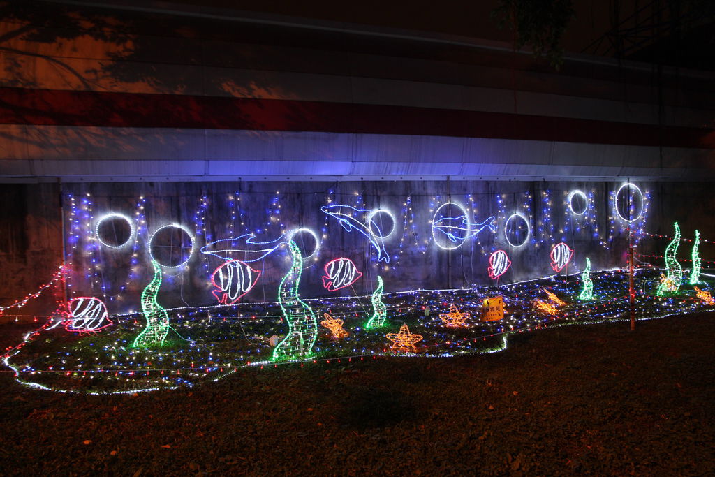 仙人球图片,三星w2015硬格口令,日本爽快片下