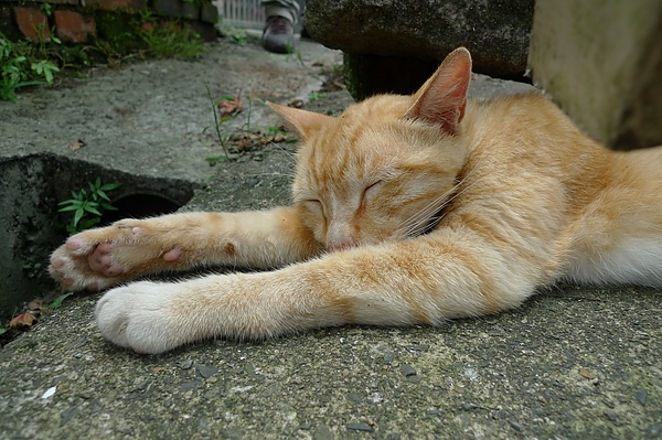 P1280672.JPG