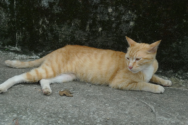 P1280711.JPG
