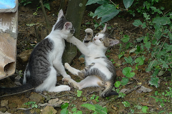 P1280656.JPG