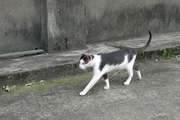 P1280685.JPG