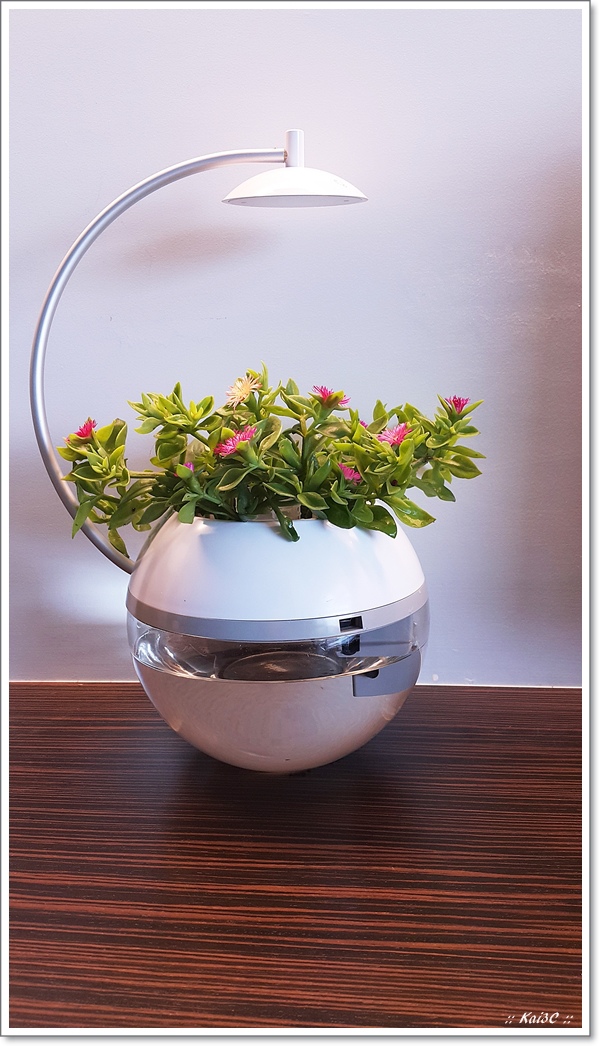 20150504_114909
