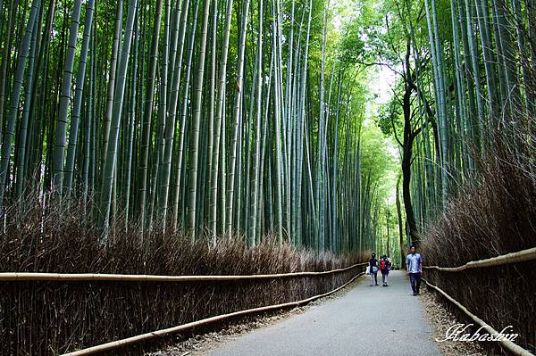 S 2013-07-09 10-19-04.jpg S 2013-07-09 10-19-04.jpg