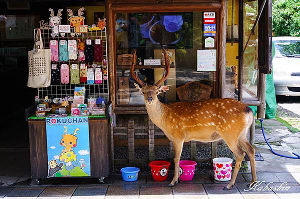 S 2013-07-08 10-40-07.jpg S 2013-07-08 10-40-07.jpg