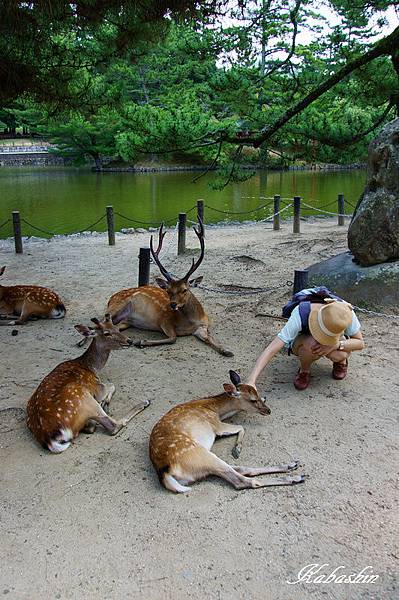 S 2013-07-08 11-09-01.jpg S 2013-07-08 11-09-01.jpg