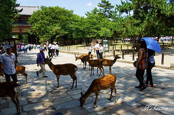 S 2013-07-08 12-43-44.jpg S 2013-07-08 12-43-44.jpg