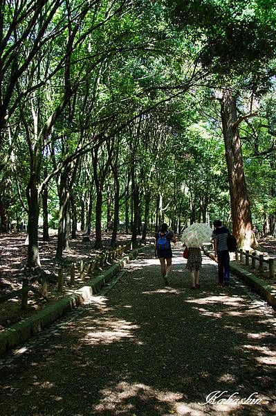 S 2013-07-08 12-57-50.jpg