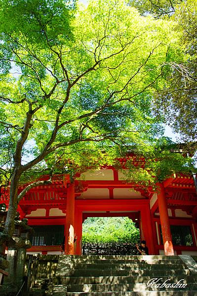 S 2013-07-08 13-36-52.jpg S 2013-07-08 13-36-52.jpg