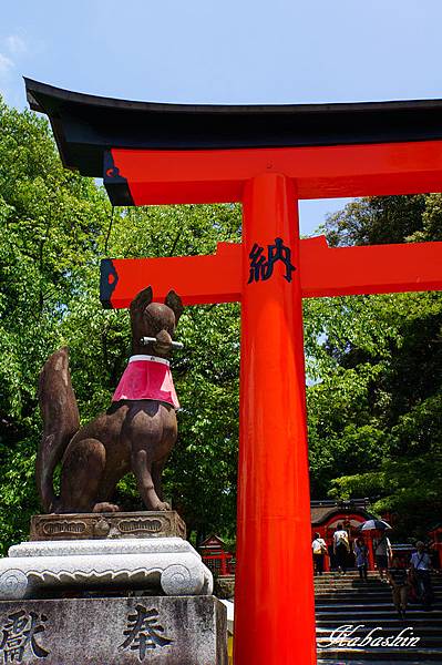 S 2013-07-07 11-34-49.jpg S 2013-07-07 11-34-49.jpg