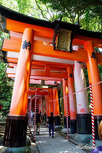 S 2013-07-07 11-38-42.jpg S 2013-07-07 11-38-42.jpg