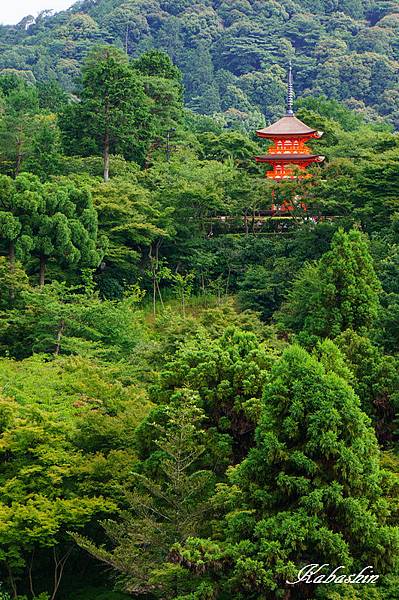 S 2013-07-07 14-01-55.jpg S 2013-07-07 14-01-55.jpg