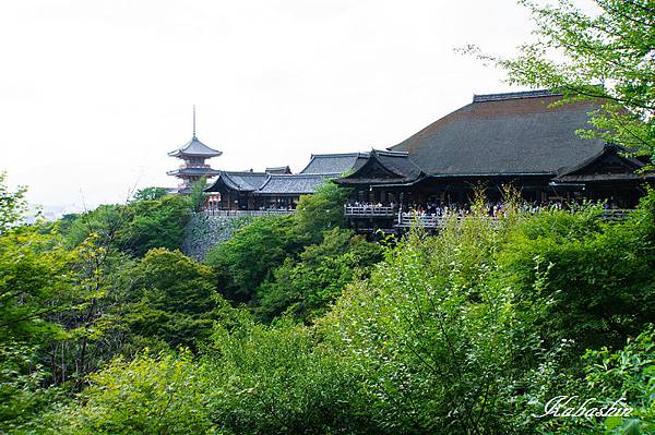 S 2013-07-07 14-31-58.jpg S 2013-07-07 14-31-58.jpg