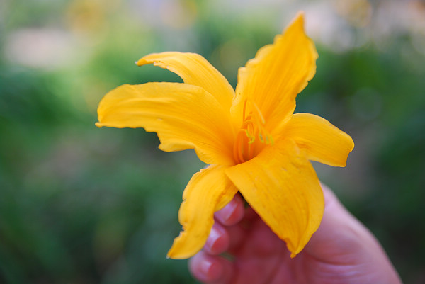 JIMZENG_0136_.jpg JIMZENG_0136_.jpg