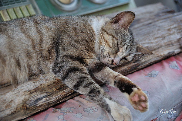 2010-06-23 15-43-28.jpg