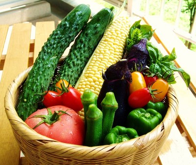 24266507_org.v1274260328