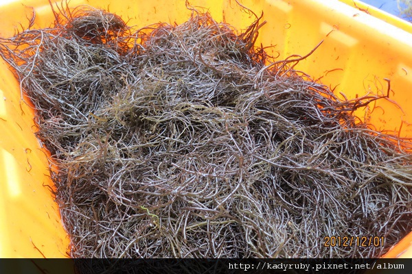 1011201 032 1011201 032