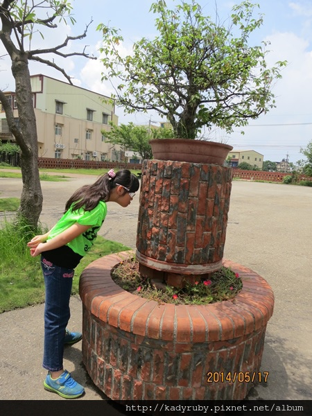 IMG_4341.JPG IMG_4341.JPG