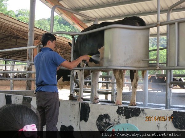 IMG_4462.JPG IMG_4462.JPG