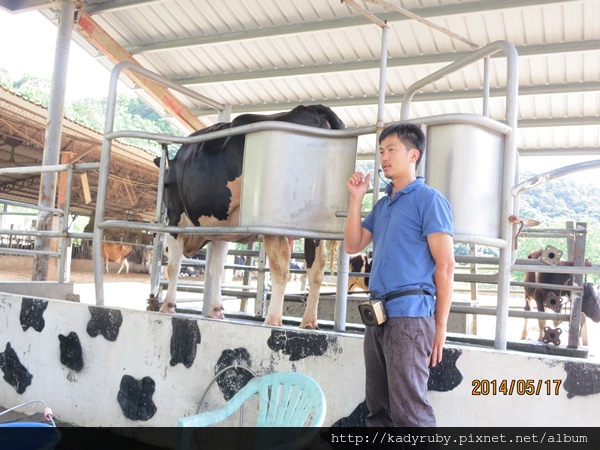 IMG_4463.JPG IMG_4463.JPG