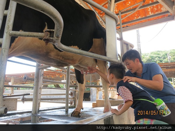 IMG_4469.JPG IMG_4469.JPG