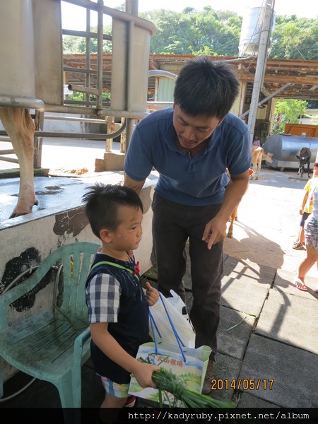 IMG_4475.JPG IMG_4475.JPG