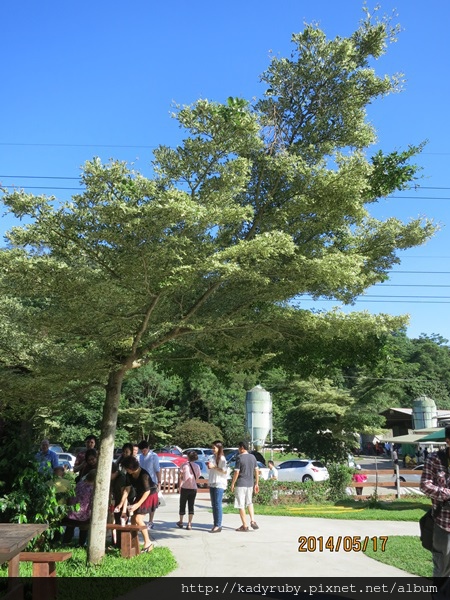 IMG_4490.JPG IMG_4490.JPG